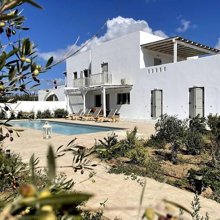 White Pearl Villa Naxos With Private Swimming Pool Naxos City Exteriér fotografie