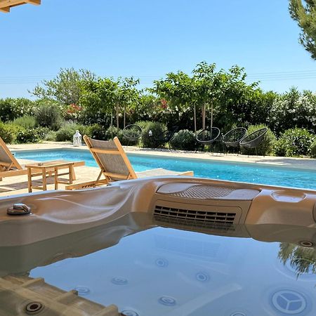 White Pearl Villa Naxos With Private Swimming Pool Naxos City Exteriér fotografie