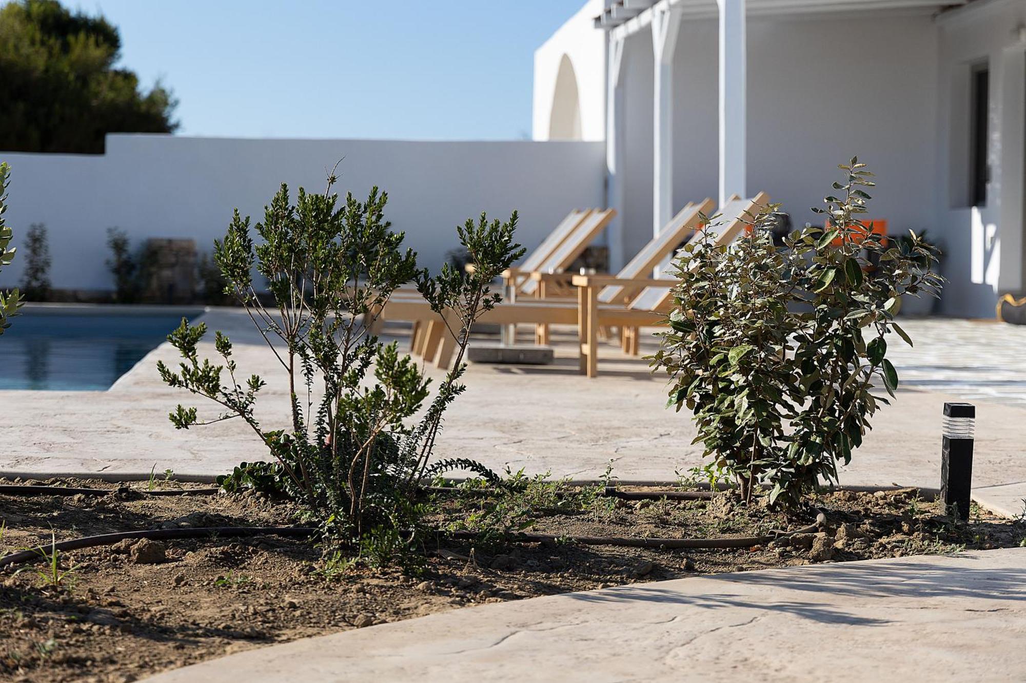 White Pearl Villa Naxos With Private Swimming Pool Naxos City Exteriér fotografie
