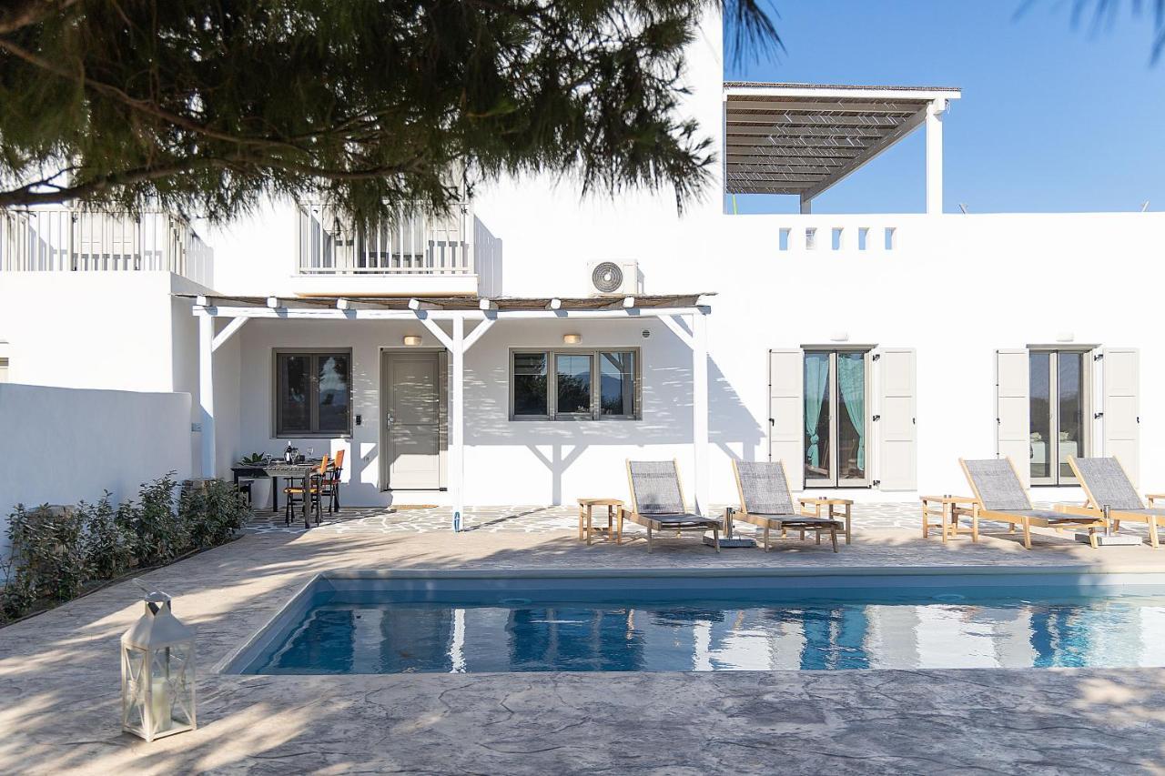 White Pearl Villa Naxos With Private Swimming Pool Naxos City Exteriér fotografie