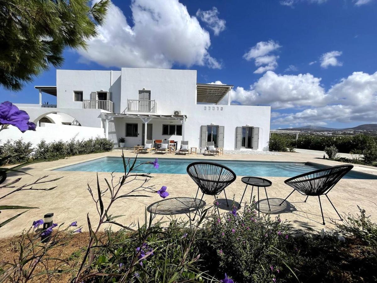 White Pearl Villa Naxos With Private Swimming Pool Naxos City Exteriér fotografie