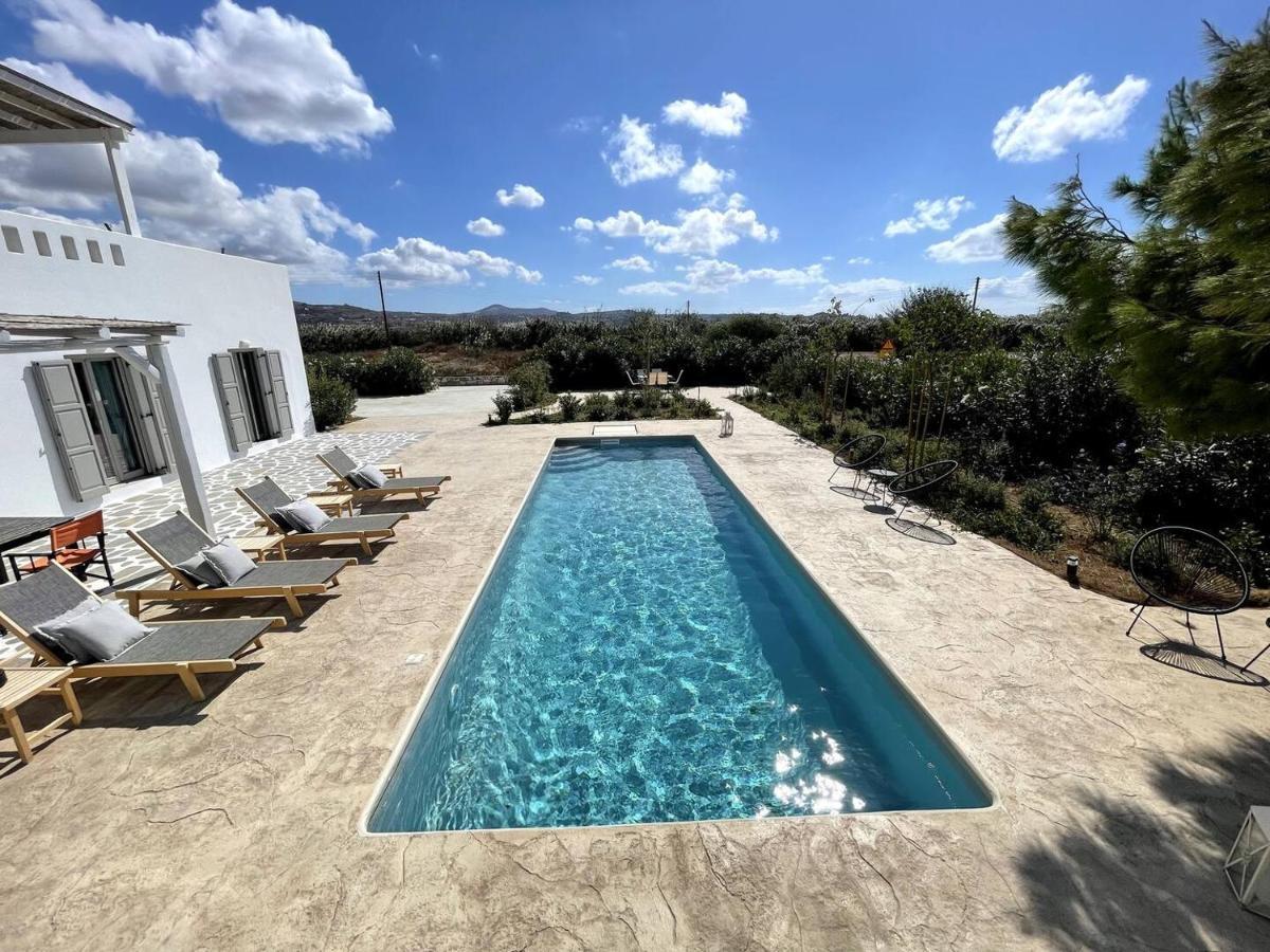 White Pearl Villa Naxos With Private Swimming Pool Naxos City Exteriér fotografie